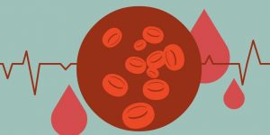 alimentos para combater a anemia naturalmente